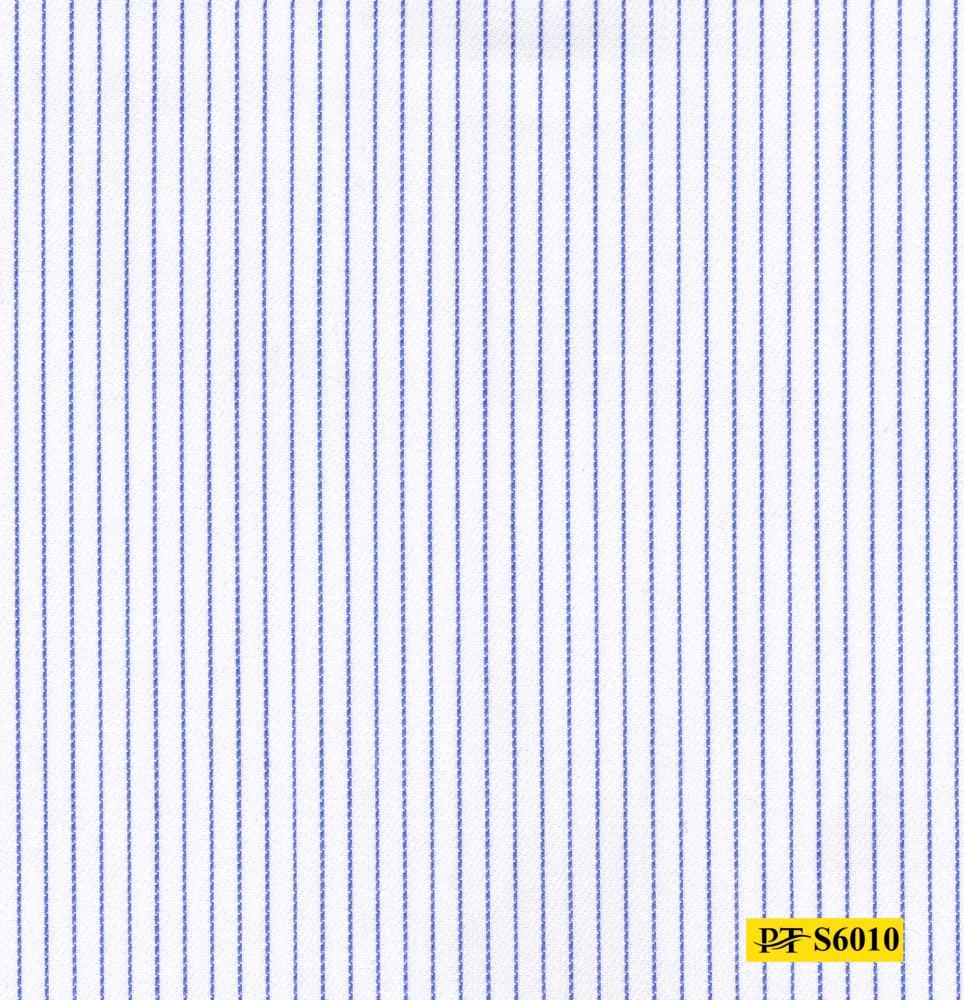 S6010
